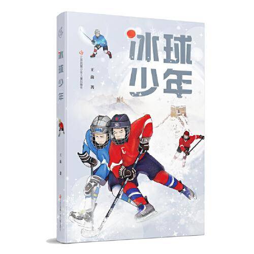 冰球少年
