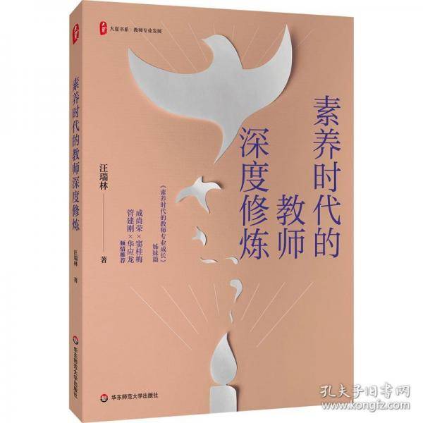 素养时代的教师深度修炼 大夏书系