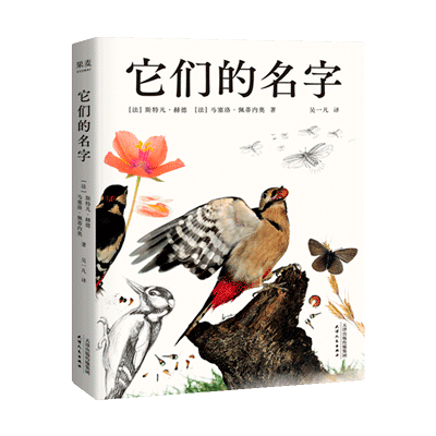 它们的名字