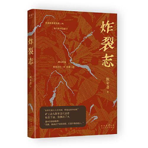 炸裂志（易中天、俞敏洪震撼推荐！矿工诗人陈年喜代表作，他丢下诗，像掷出了火。“如果有ZUI长久的呐喊，那就是我的诗歌。”）