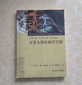 正常人体结构学实验