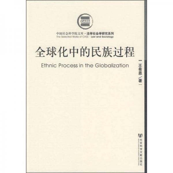 全球化中的民族过程