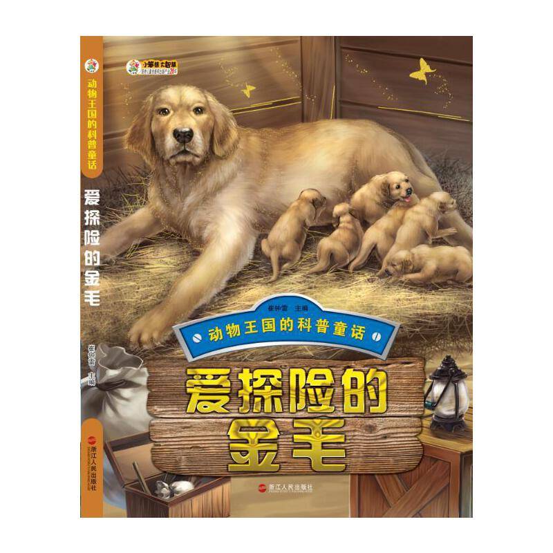 爱探险的金毛