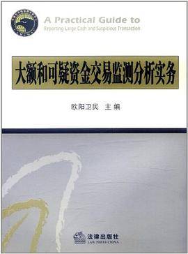 大额和可疑资金交易监测分析实务
