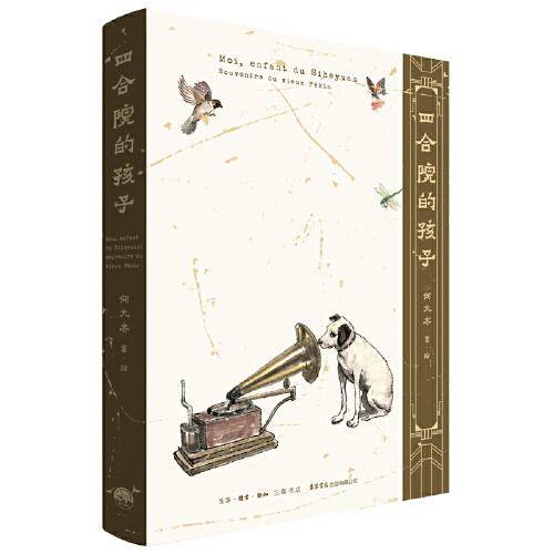 四合院的孩子