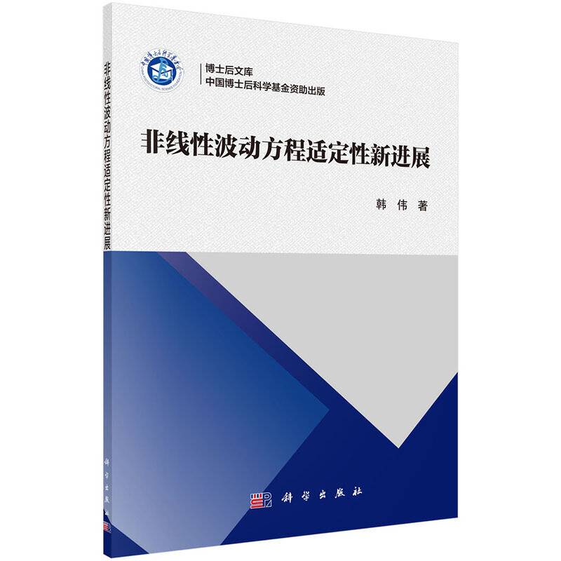 博士后文库：非线性波动方程适定性新进展