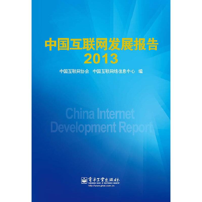 中国互联网发展报告（2013）