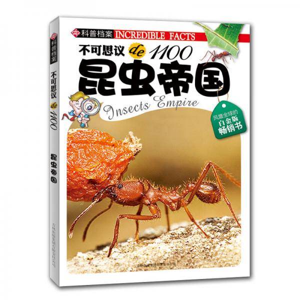 不可思议de1100