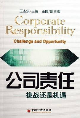公司责任