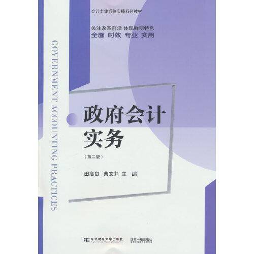政府会计实务（第二版）