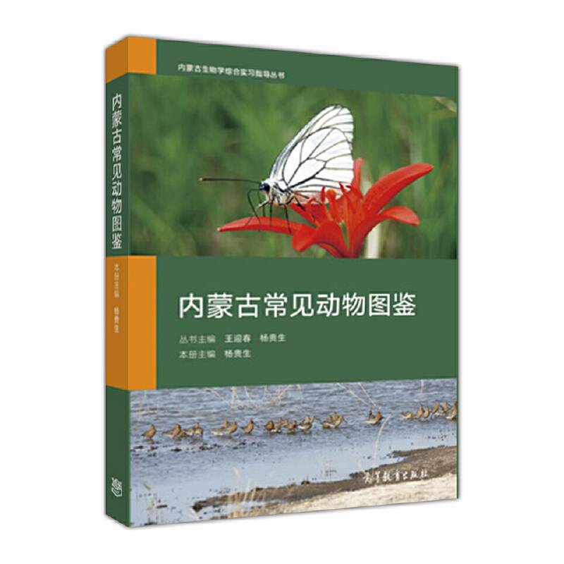 内蒙古常见动物图鉴