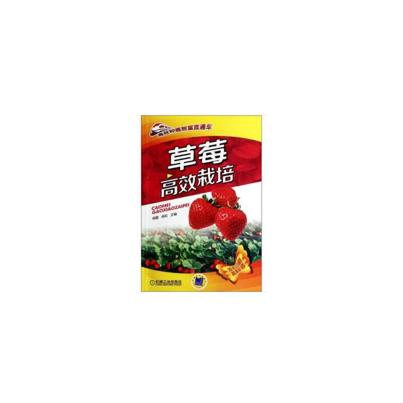 草莓高效栽培