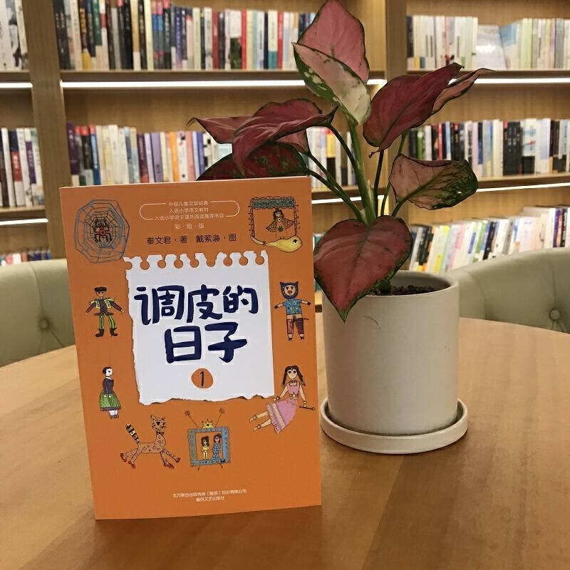 调皮的日子1