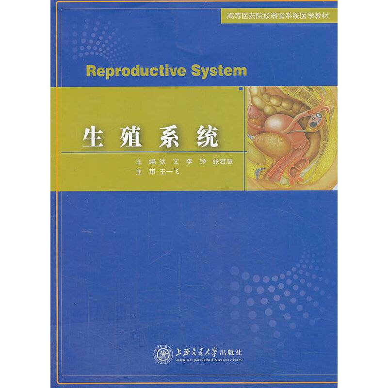 生殖系统