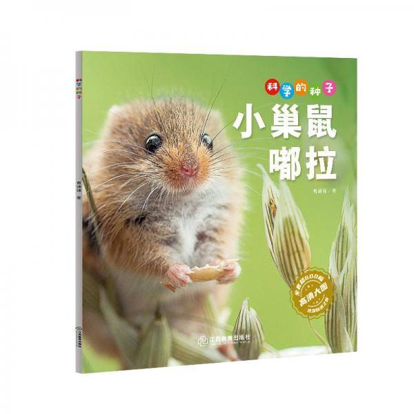 科学的种子:小巢鼠嘟啦