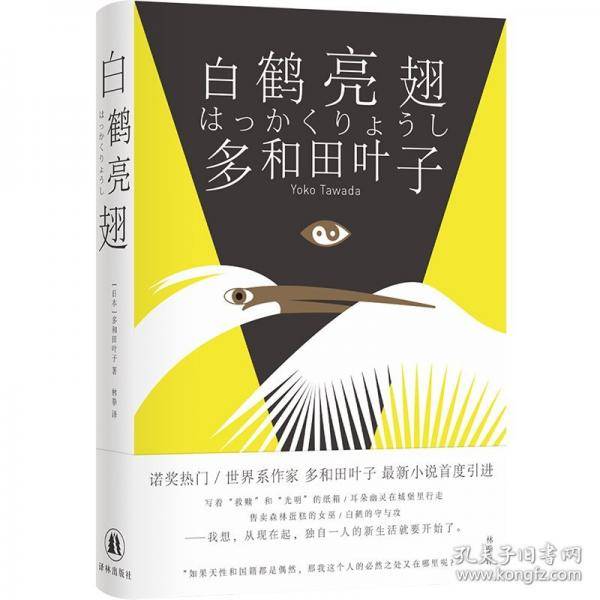 白鹤亮翅林拳译 从柏林开始的独居岁月