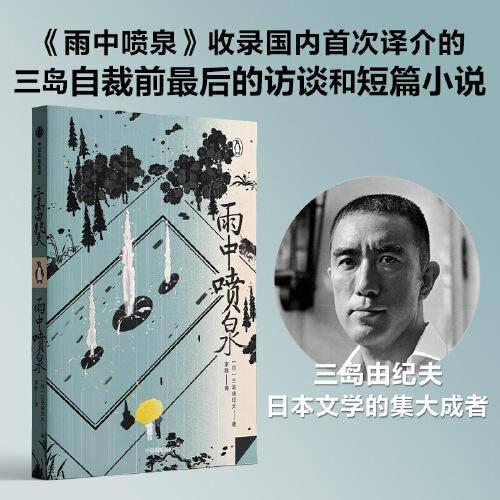 雨中喷泉