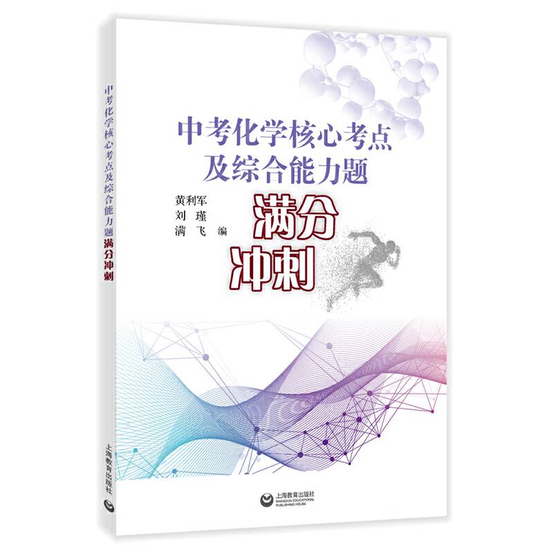 中考化学核心考点及综合能力题满分冲刺