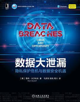 数据大泄漏：隐私保护危机与数据安全机遇