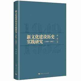 新文化建设历史实践研究