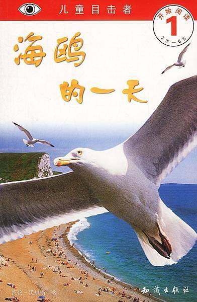 儿童目击者：海鸥的一天