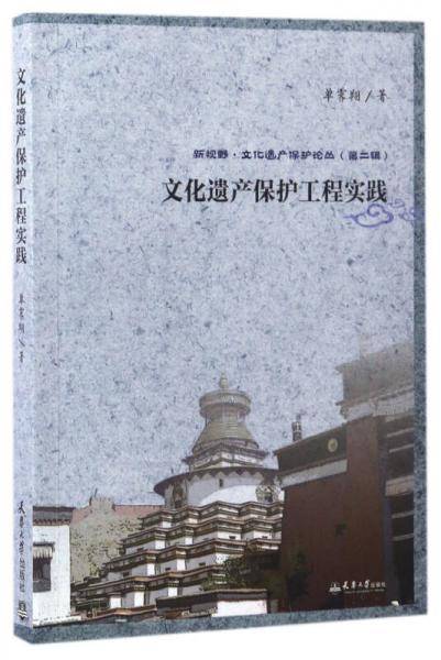 文化遗产保护工程实践/新视野・文化遗产保护论丛