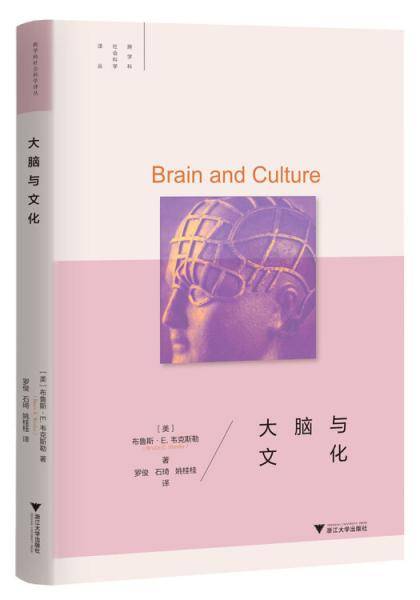 大脑与文化（精装本）