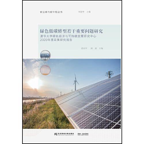 绿色低碳转型若干重要问题研究：清华大学绿色经济与可持续发展研究中心2020年度政策研究报告
