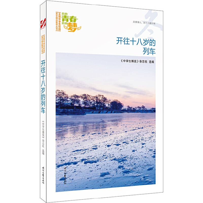 我的青春我的梦：开往十八岁的列车