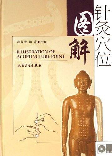 针灸穴位图解