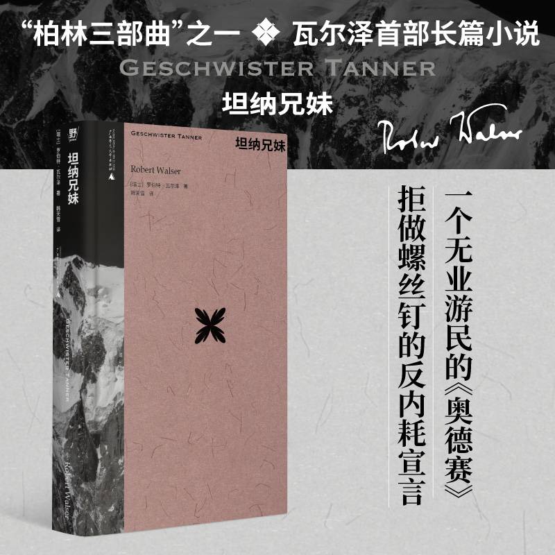 坦纳兄妹（作家中的作家！卡夫卡、茨威格、黑塞的挚爱：“要是瓦尔泽有十万个读者，世界将变成一个更好的所在。”瓦尔泽长篇首作：街溜子、晃膀子、二混子的壮游！）