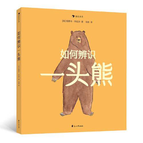 如何辨识一头熊