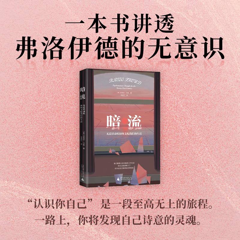 暗流：无意识动机如何支配我们的生活