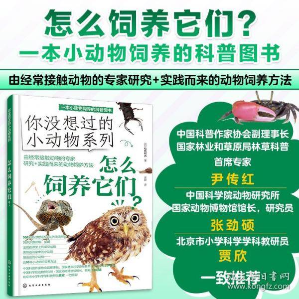 怎么饲养它们?