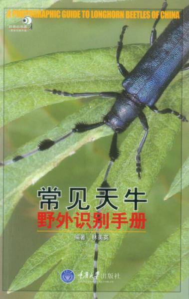 常见天牛野外识别手册