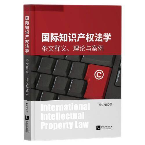 国际知识产权法学：条文释义、理论与案例
