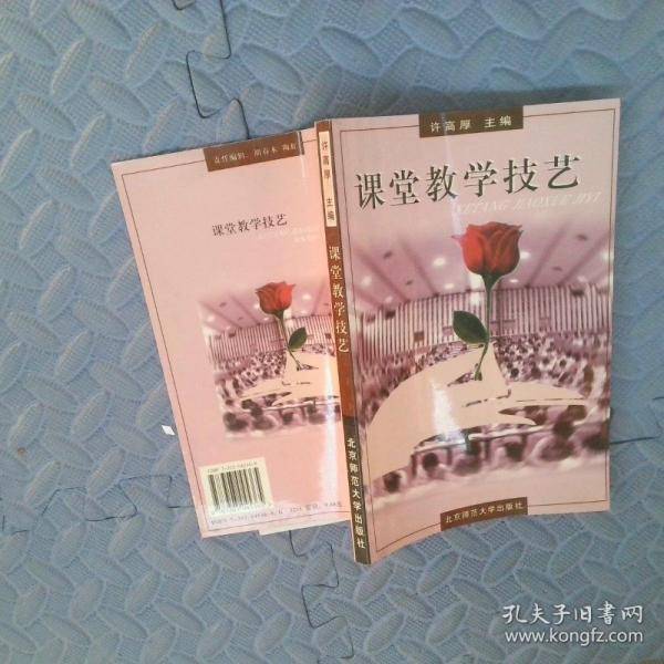 课堂教学技艺