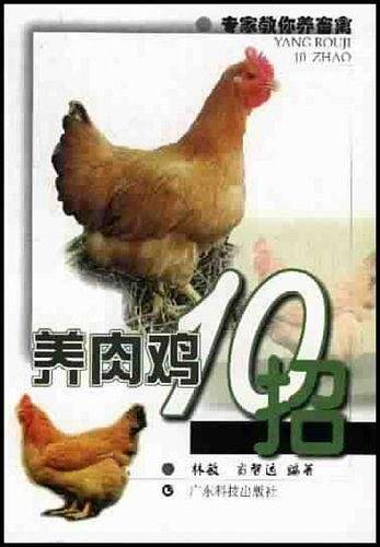 养肉鸡10招