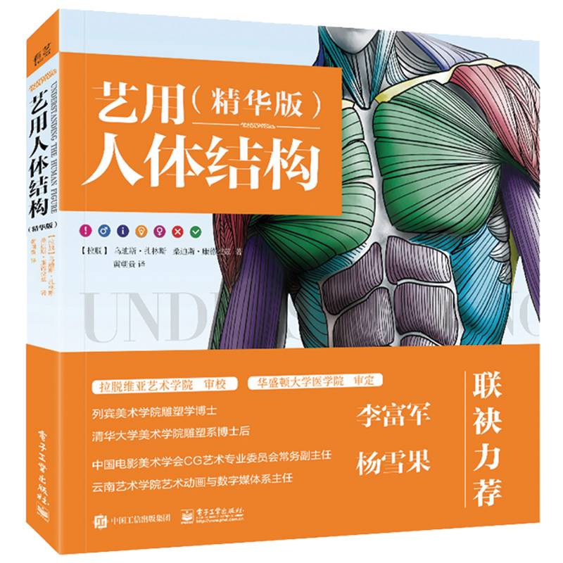 艺用人体结构（精华版）