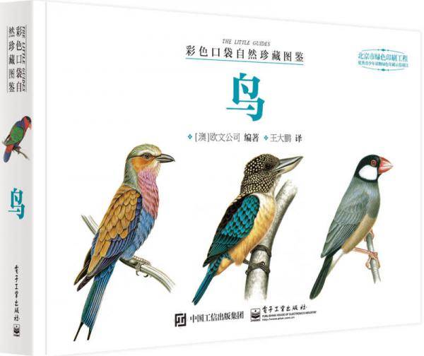 彩色口袋自然珍藏图鉴 鸟（全彩）