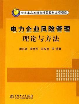 电力企业风险管理理论与方法
