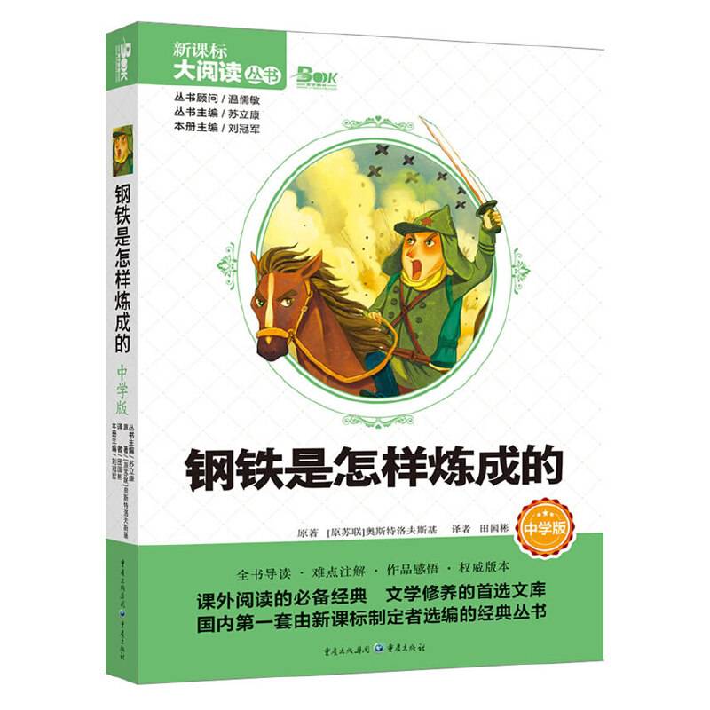 钢铁是怎样炼成的(中学版)