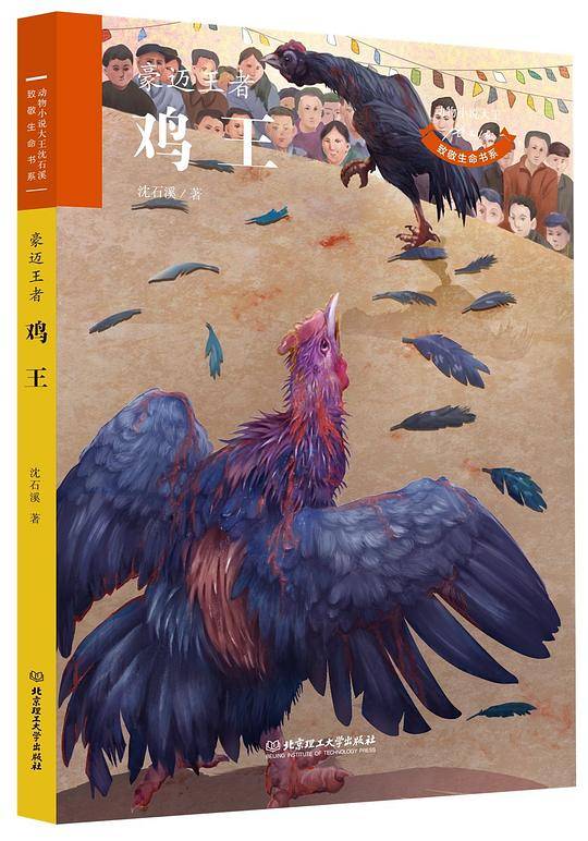 动物小说大王沈石溪・致敬生命书系――鸡王