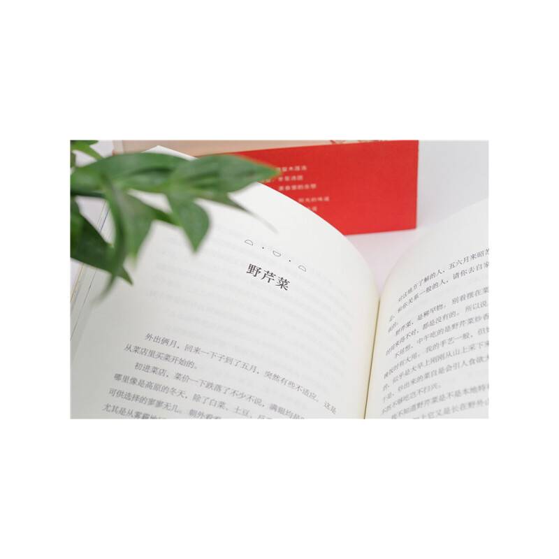 《饮茶看花就是生活》