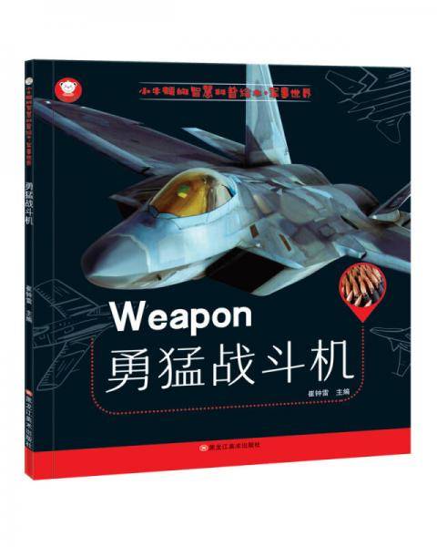 小牛顿的智慧科普绘本·军事世界 勇猛战斗机