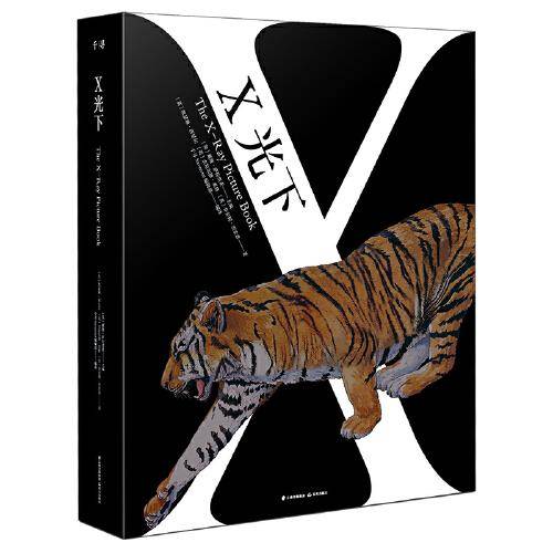 千寻·小孩 X光下（套装共2册）