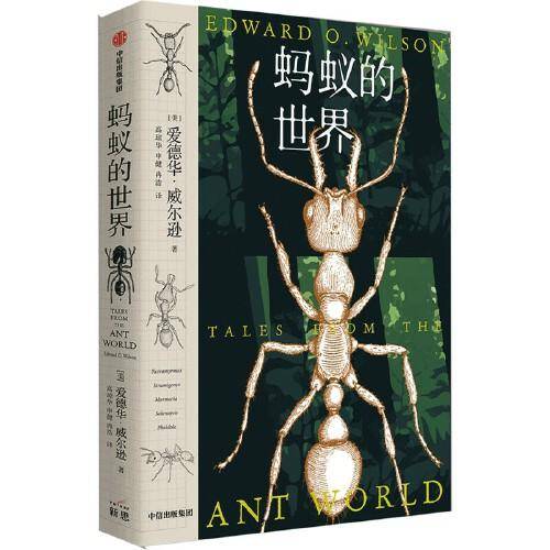蚂蚁的世界
