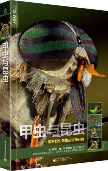 甲虫与昆虫