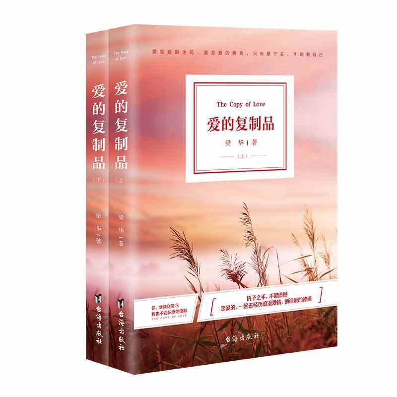 《爱的复制品》上下册