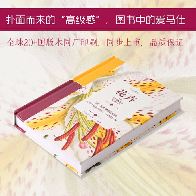 纸上景观：花卉